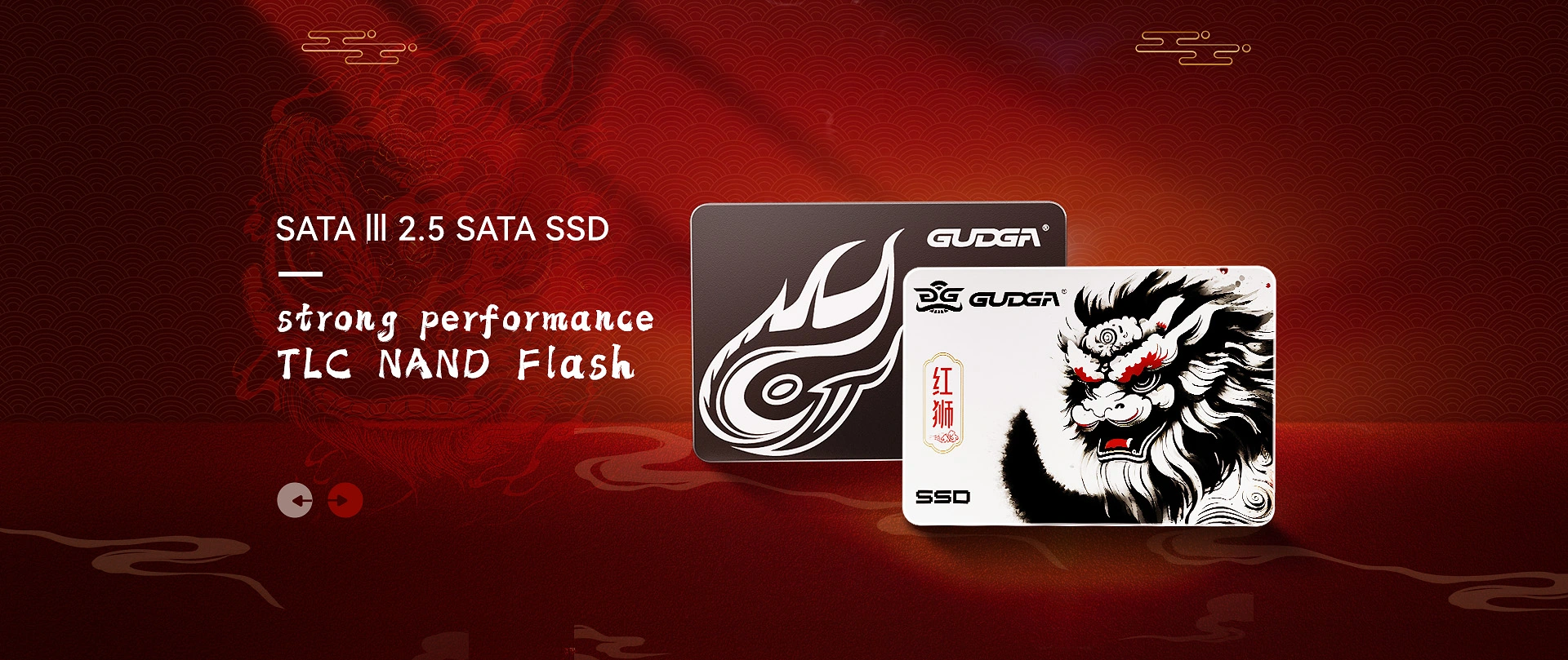 Jakość 2,5 SATA SSD Hurtowy producent
